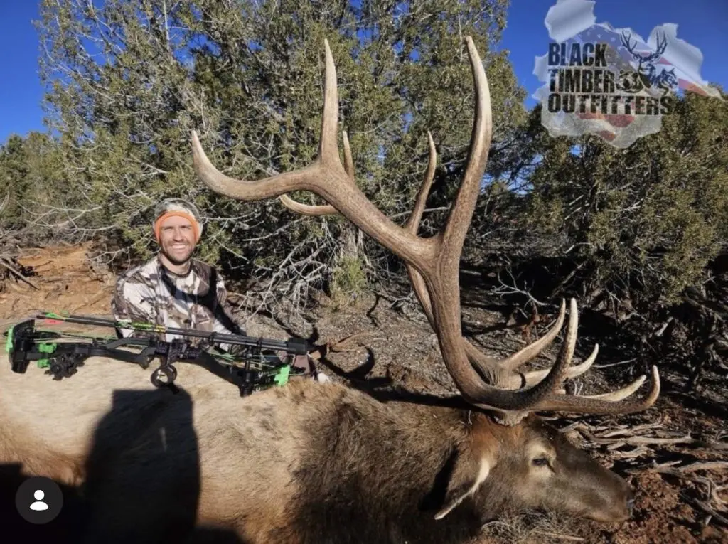 Black Timber hunter with a bull elk